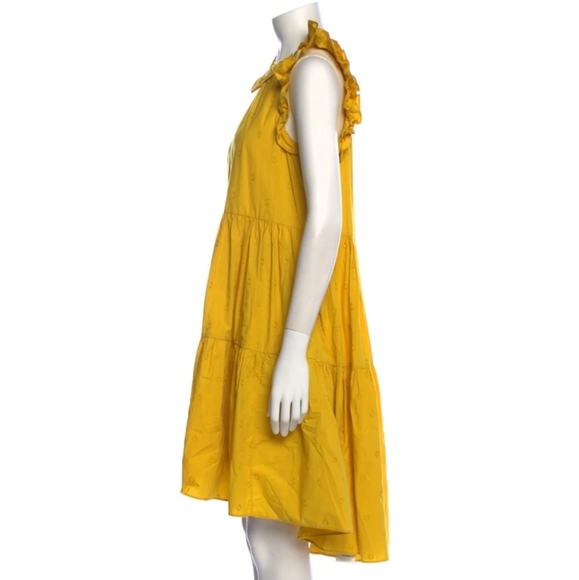 Ulla Johnson Ruffle Sleeve Dress - Picture 2 of 9